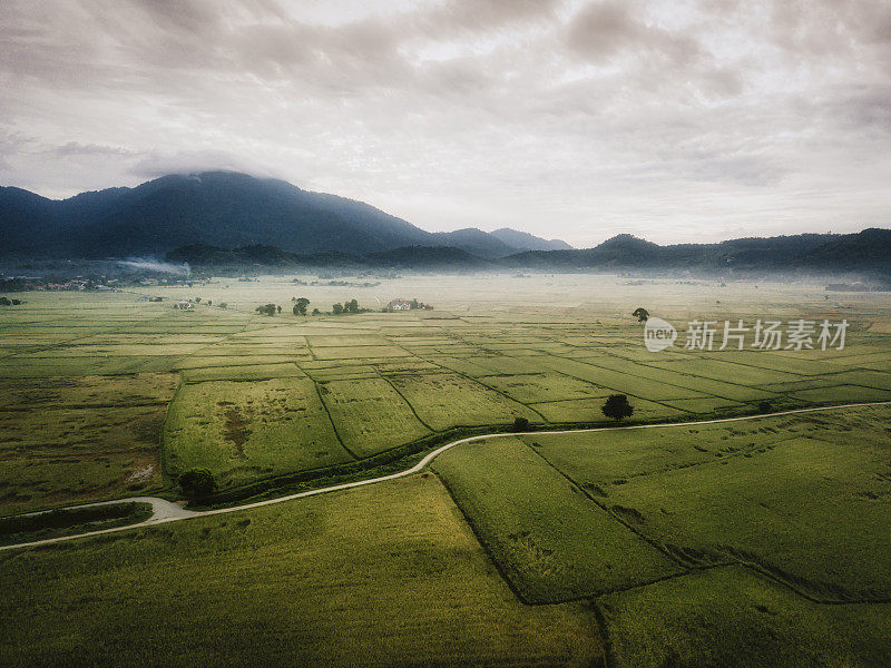 清晨的兰卡威，吉打稻田与雾与gunung raya山的背景覆盖着云